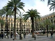 19  Barcelona  Plaza Real.JPG